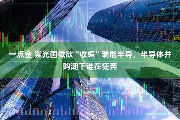 一点金 紫光国微欲“收编”瑞能半导，半导体并购潮下谁在狂奔