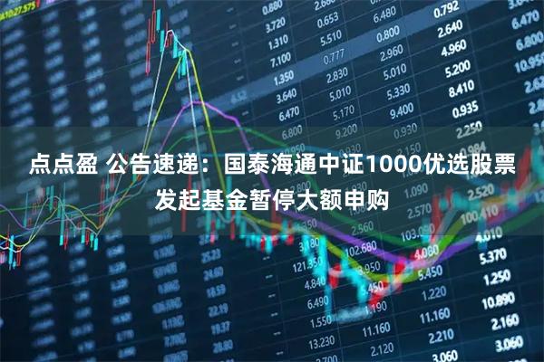 点点盈 公告速递：国泰海通中证1000优选股票发起基金暂停大额申购
